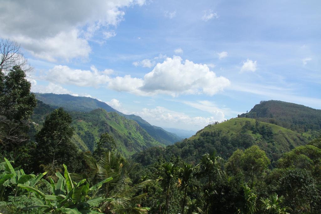 Ella Nature View Hotel Room photo